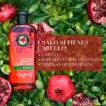 Shampoo Pelo Largo Herbal Classic Granada y Proteína Vegana 400 ml - Imagen 3