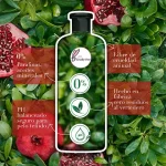Shampoo Pelo Largo Herbal Classic Granada y Proteína Vegana 400 ml - Imagen 2