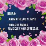 Suavizante Downy Consentrado Brisa de Verano 500ml - Imagen 2